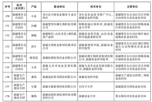 新疆及兵團9家基地入選首批國家級網(wǎng)站建設(shè)名單